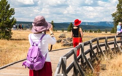 午夜成年奭片免费观看